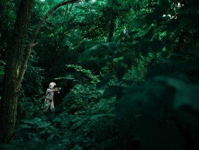 林志玲在电影中的璀璨之旅  林志玲演的电影