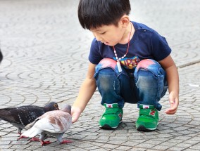 快乐成长，爱上幼儿园  爱上幼儿园