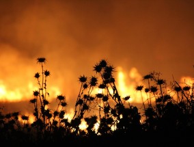 日本鹿儿岛县火山喷发，自然的力量与人类的应对  日本鹿儿岛县一火山喷发