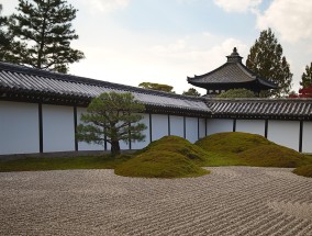 姓名学与风水学书，探寻古老智慧的深邃内涵  姓名学和风水学书